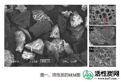 活性炭的显微扫描图像
