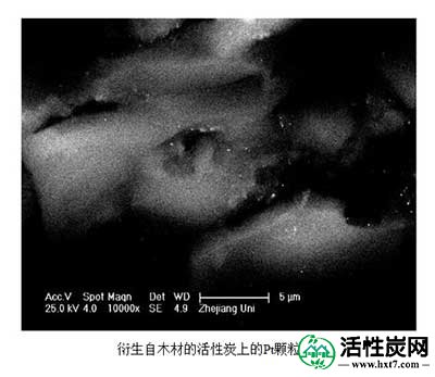 活性炭催化剂表征