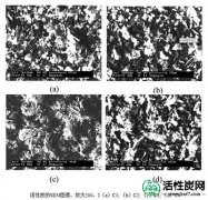 【韩研】邻硝基氯苯在活性炭上的氢化